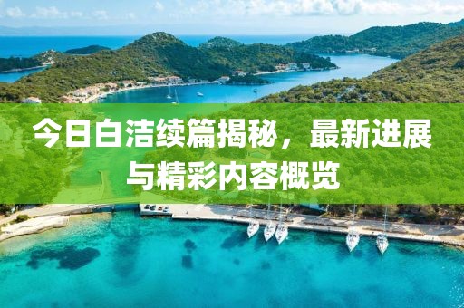 今日白洁续篇揭秘，最新进展与精彩内容概览