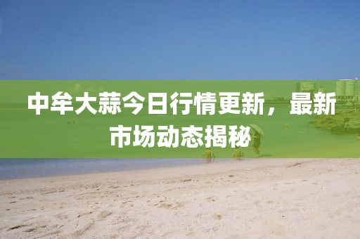 中牟大蒜今日行情更新，最新市场动态揭秘
