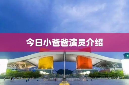 今日小爸爸演员介绍