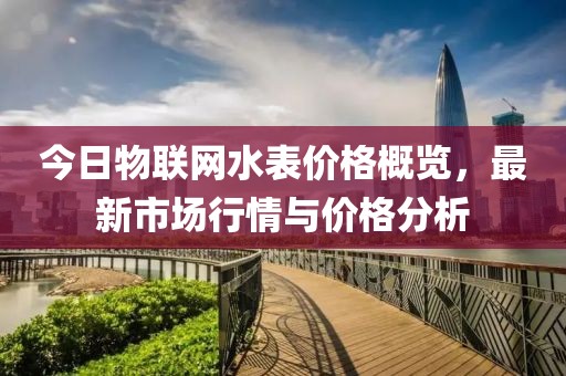 今日物联网水表价格概览，最新市场行情与价格分析