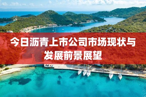 今日沥青上市公司市场现状与发展前景展望
