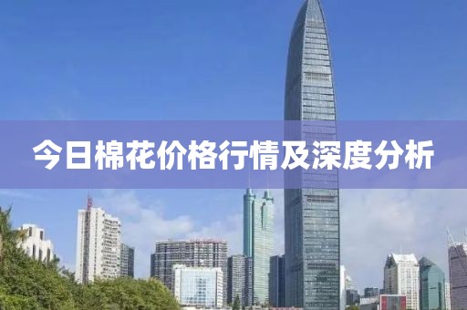 今日棉花价格行情及深度分析