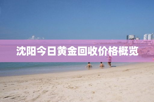 沈阳今日黄金回收价格概览