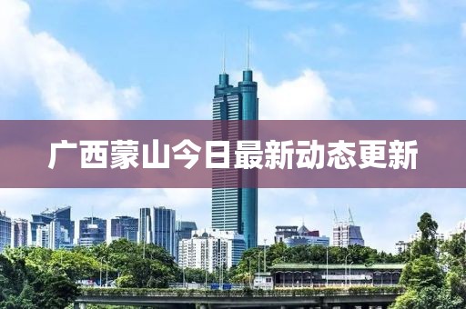 广西蒙山今日最新动态更新
