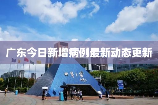 广东今日新增病例最新动态更新