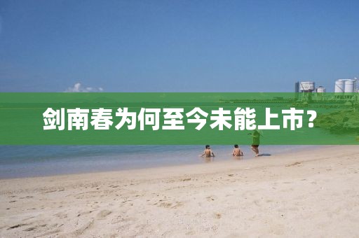 剑南春为何至今未能上市？