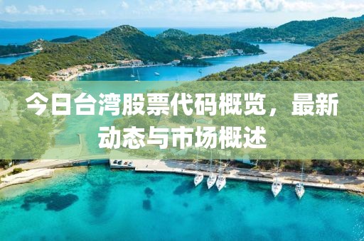 今日台湾股票代码概览，最新动态与市场概述
