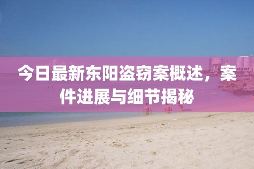 今日最新东阳盗窃案概述，案件进展与细节揭秘