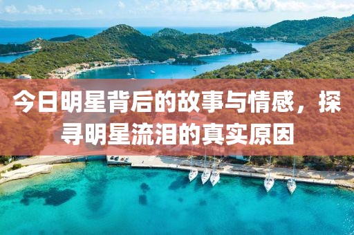 今日明星背后的故事与情感，探寻明星流泪的真实原因