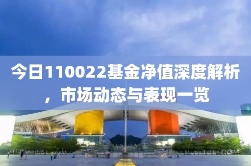 今日110022基金净值深度解析，市场动态与表现一览