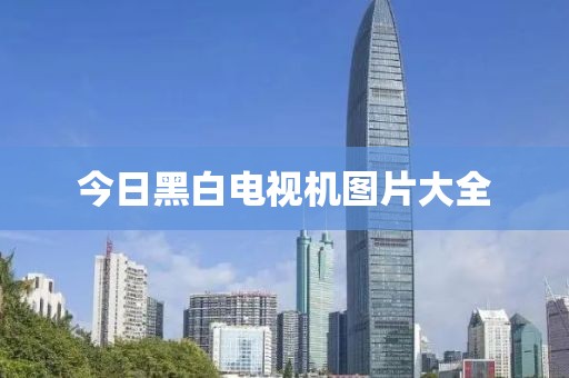 今日黑白电视机图片大全