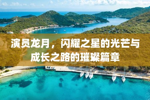 演员龙月，闪耀之星的光芒与成长之路的璀璨篇章