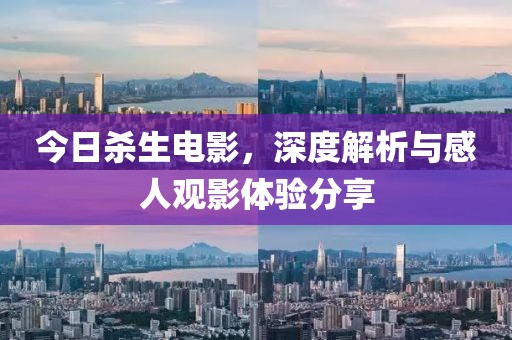 今日杀生电影，深度解析与感人观影体验分享