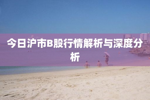 今日沪市B股行情解析与深度分析