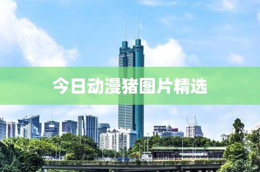 今日动漫猪图片精选