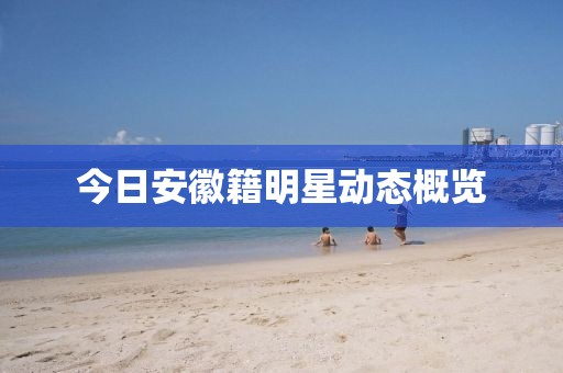 今日安徽籍明星动态概览