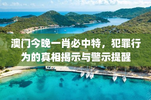澳门今晚一肖必中特，犯罪行为的真相揭示与警示提醒
