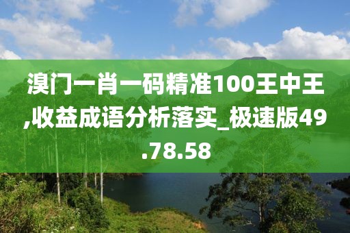 溴门一肖一码精准100王中王,收益成语分析落实_极速版49.78.58