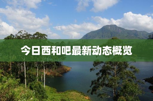 今日西和吧最新动态概览