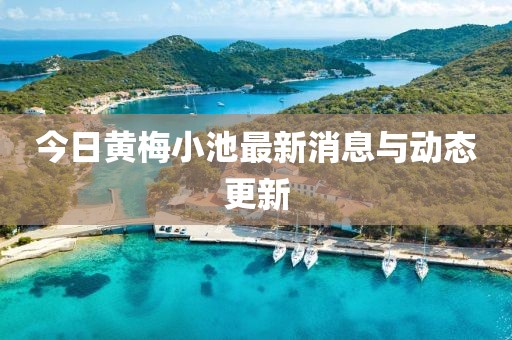 今日黄梅小池最新消息与动态更新