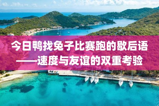 今日鸭找兔子比赛跑的歇后语——速度与友谊的双重考验