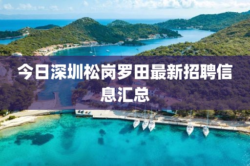 今日深圳松岗罗田最新招聘信息汇总