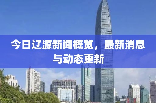 今日辽源新闻概览，最新消息与动态更新