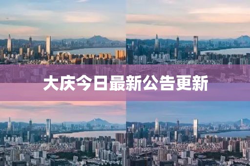 大庆今日最新公告更新