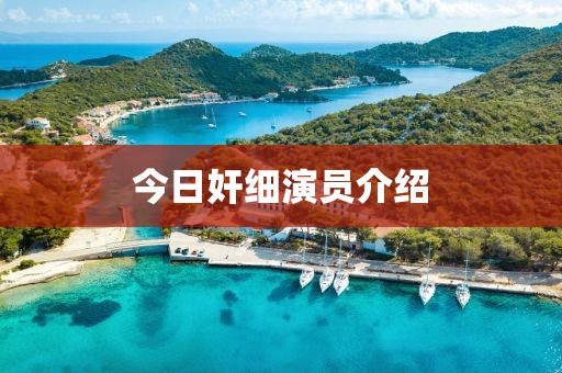 今日奸细演员介绍