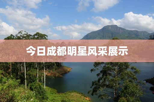 今日成都明星风采展示
