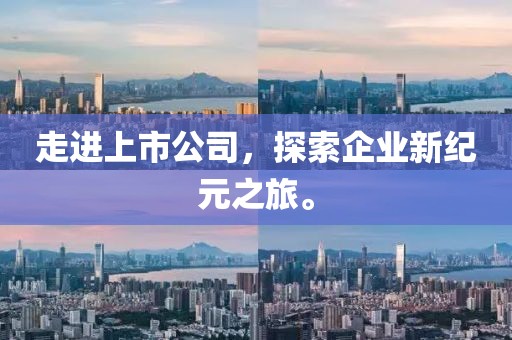 走进上市公司，探索企业新纪元之旅。