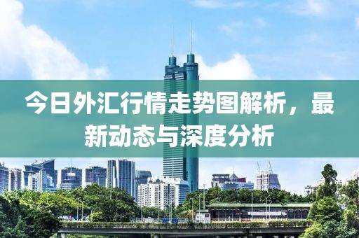 今日外汇行情走势图解析，最新动态与深度分析
