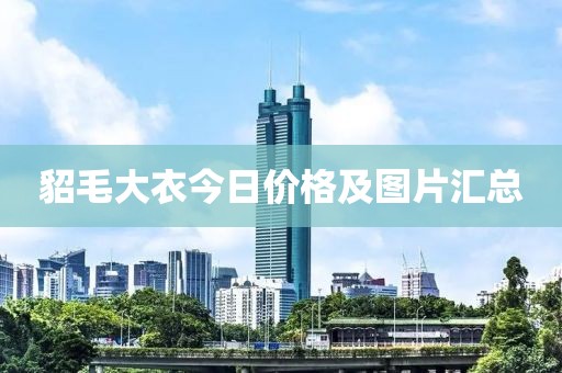 貂毛大衣今日价格及图片汇总