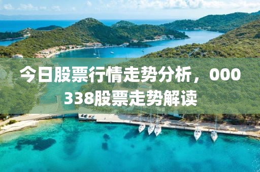 今日股票行情走势分析，000338股票走势解读