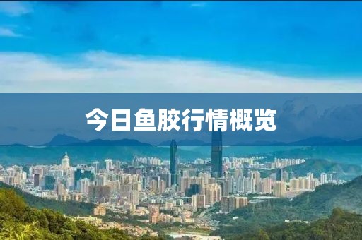 今日鱼胶行情概览