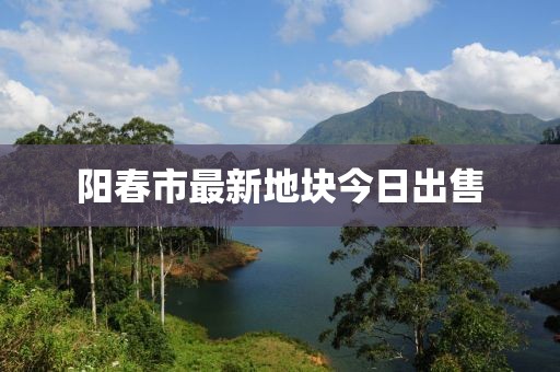 阳春市最新地块今日出售