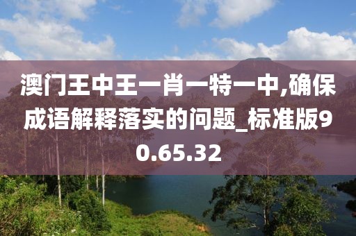 澳门王中王一肖一特一中,确保成语解释落实的问题_标准版90.65.32
