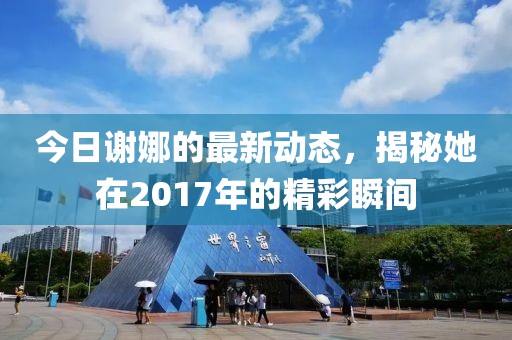 今日谢娜的最新动态，揭秘她在2017年的精彩瞬间