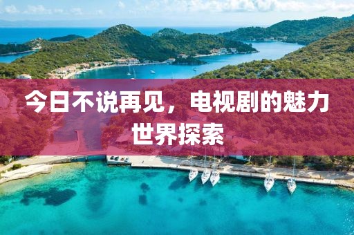 今日不说再见，电视剧的魅力世界探索