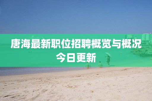 唐海最新职位招聘概览与概况今日更新