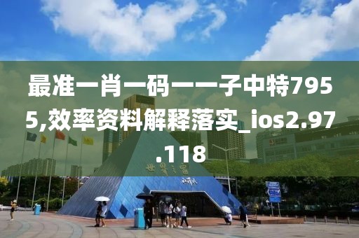 最准一肖一码一一子中特7955,效率资料解释落实_ios2.97.118