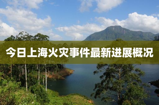 今日上海火灾事件最新进展概况
