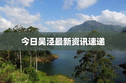 今日吴泾最新资讯速递