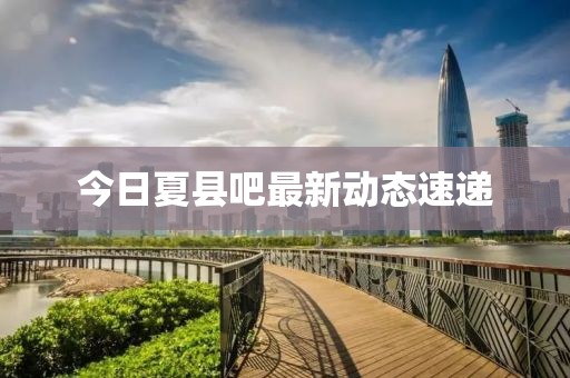 今日夏县吧最新动态速递