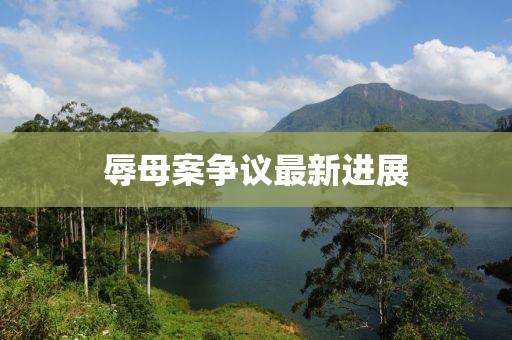 辱母案争议最新进展