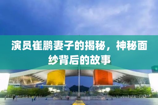演员崔鹏妻子的揭秘，神秘面纱背后的故事
