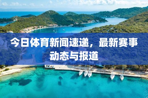 今日体育新闻速递，最新赛事动态与报道