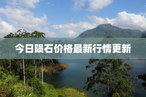 今日陨石价格最新行情更新