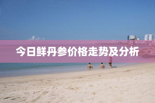 今日鲜丹参价格走势及分析