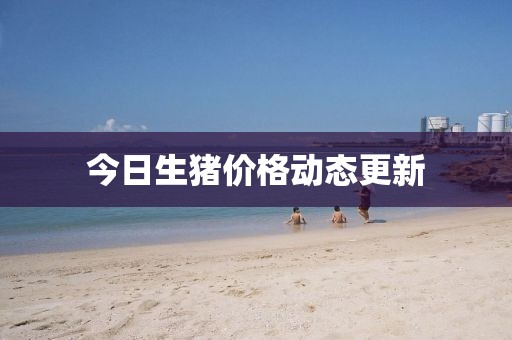 今日生猪价格动态更新